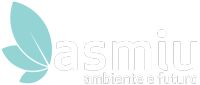 ASMIU Massa